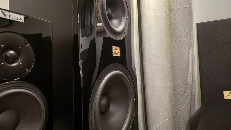 kolumny-podlogowe-vega-zenith-1